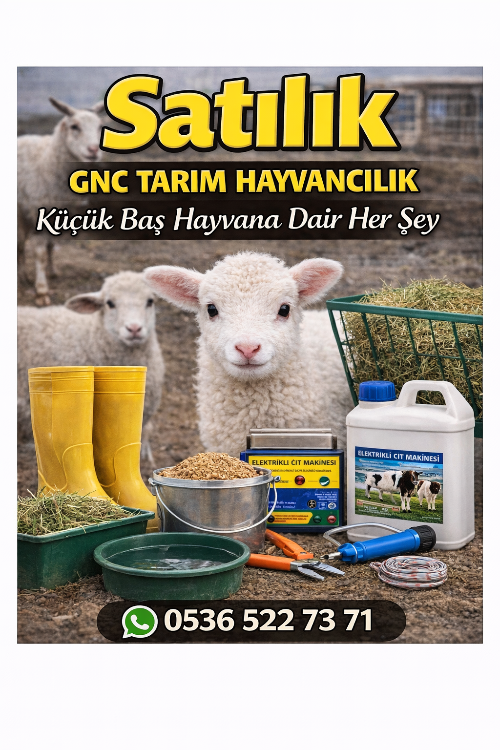 Küçükbaş hayvan ürünleri 